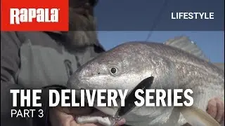 Rapala® The Delivery Series Part 3