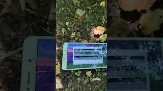 Майнкрафт на телефоне