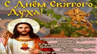 День Святого Духа красивые видео поздравления с праздником в Духов день- красивая открытка!