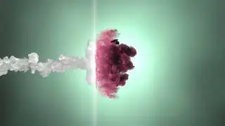 INTRO EXEMPLE TEMP FREE TO USE