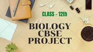 Best CBSE  Bio Project on Antibiotics Class 12th with pdf || a.thousand.shades