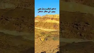 صحراء فلسطين جمال لا يصدق