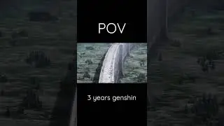 GENSHIN CO-OP IN NUTSHELL
