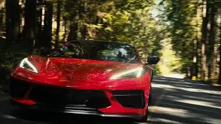 Corvette - Shot on iPhone + SANDMARC Gear