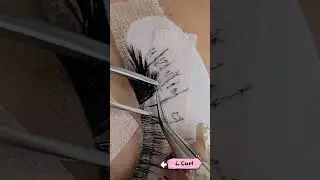 L-Curl Lash Extensions