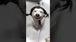 😁