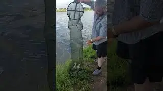 Четыре часа на рыбалке #fishing #рыбалка