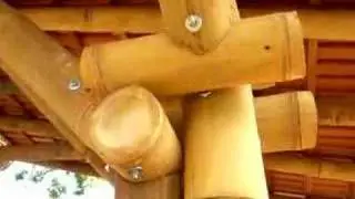 Prototipo bambu estrutura