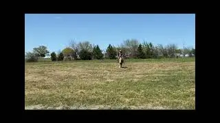 Lot 260, Xtra Got Outta Dodge