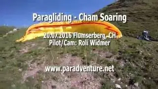 Paragliding  Soaring With My Shadow...