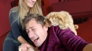 Alfie bites me! 😰 - A day with Alfie!
