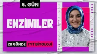 5) Enzymes | 2026 TYT Biology Camp Day 5