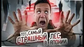 Тот самый страшный лес