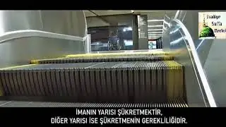 Sabır ve Şükür ...