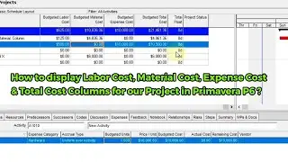 Cost Columns in Primavera P6