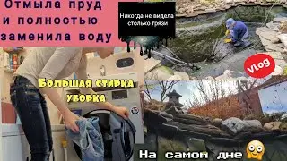 Домашний Влог. Пруд в саду. Отмыла пруд и полностью заменила воду. Ландшафтный дизайн.