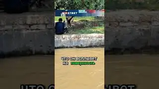 Молодой пловец 🤯
