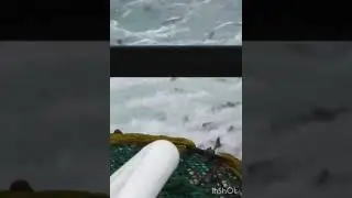 Рыбный фонтан