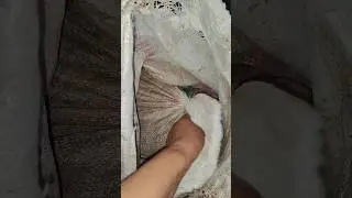 21 августа 2024 г.