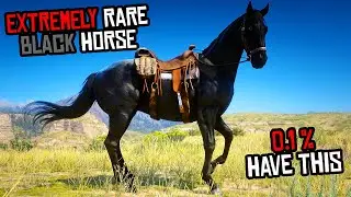 How To Get Legendary 100% BLACK Horse Locations (Extremely Rare) - RDR 2