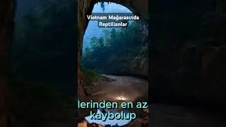 Vietnam Mağarasında Reptilianlar #gizemlervebilinmeyenler #youtuber #youtube #youtubeshorts #tarih