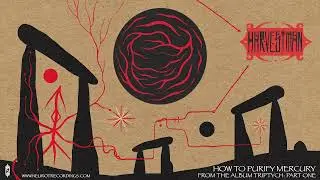 05 How to Purify Mercury