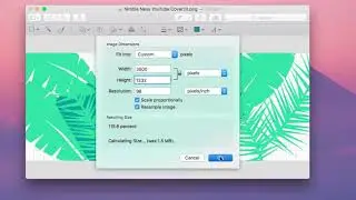 Easily Resize Your Photos on Mac - No Downloads Needed
