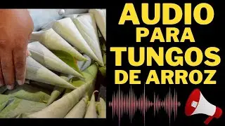 📢Audio para Vender TUNGOS DE ARROZ