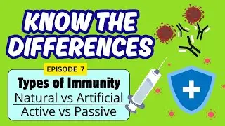 Immune System | Types of Immunity