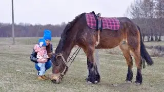 Иппотерапия в Клубе Оздоровительной Верховой Езды г. Полтава