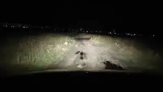 С балкой от Ежека в степи