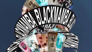 Заставка киностудии Black Mamba