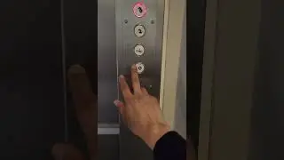 Hotel Luggage Elevator & Lift #funny