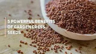 Halim Seeds Garden Cress Seeds Rich in Iron & Fiber #halimseeds #GardenCress #AaliVithai #trending