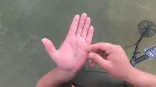 Коп на пляже,  Вышел прогуляться с  Equinox 800