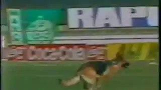 [RARIDADE]Pré Jogo Brasil x Venezuela 1993 - TV Bandeirantes Parte 1/3