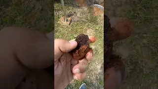 ✅ Как выглядит грунт с большим содержанием железа