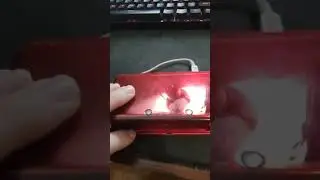 nintendo ds avicii cat