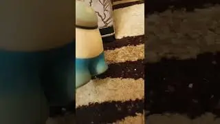 бубун и его братки 🧐 1 серия