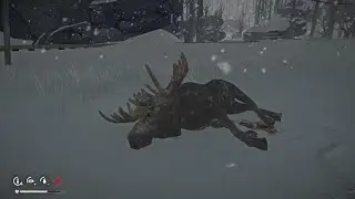 The Long Dark - Interloper: Moose Hunt (With Commentary)