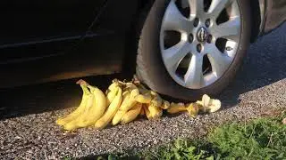 Crushing Thing with Car vs Bananas Don't watch !