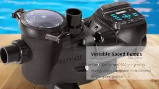 Best Pool Pumps