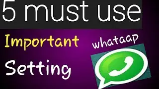 5 must important settings in whataap