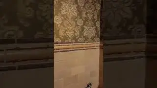 Interesting Choice Of Bathroom Tiles!