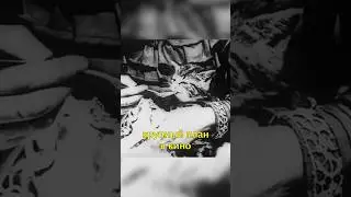 🐱Самый Первый Крупный План в Кино🎥