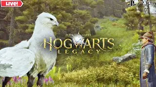 LIVE : HOGWARTS LEGACY Walkthrough gameplay PS5 Day-7