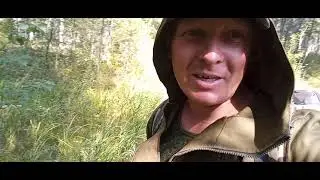 в лесную избу на сутки один с собакой
