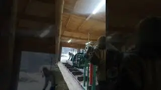 Ленточная рама Алтай 900, пилим в развал