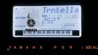 YAMAHA psr i500 | all 9 traditional styles demo with intro and ending
