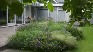 metamorfose van groene, strakke tuin naar losse vaste planten en grassentuin